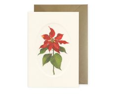 Rossi Weihnachtskarten-Box Weihnachtsstern